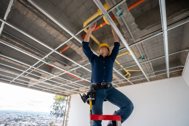Best Emergency Plumbing Repair  in Crete, IL