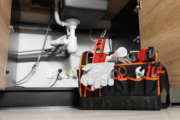 Best Same-Day Plumbing Service  in Crete, IL