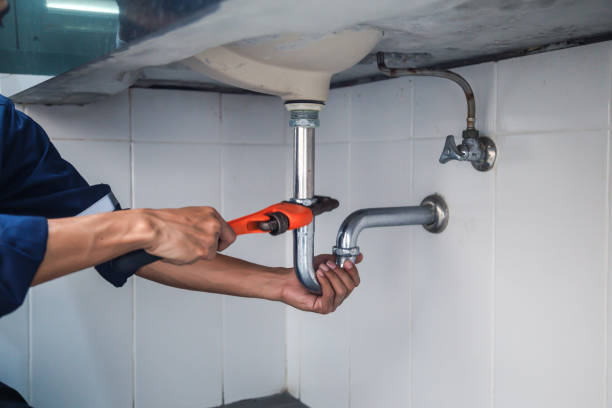 Best Residential Plumbing Services  in Crete, IL