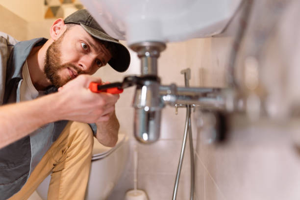 Best Plumbing Services Near Me  in Crete, IL