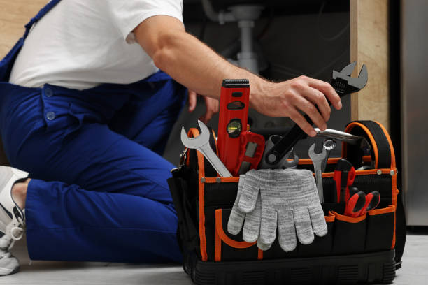 Best Same-Day Plumbing Service  in Crete, IL